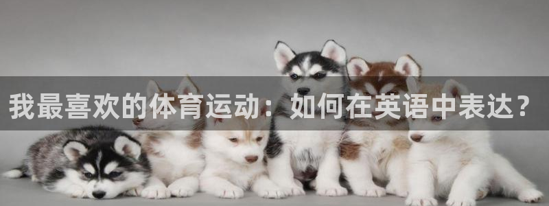 betway西汉姆联官网：我最喜欢的体育运动：如何在英语中表达？