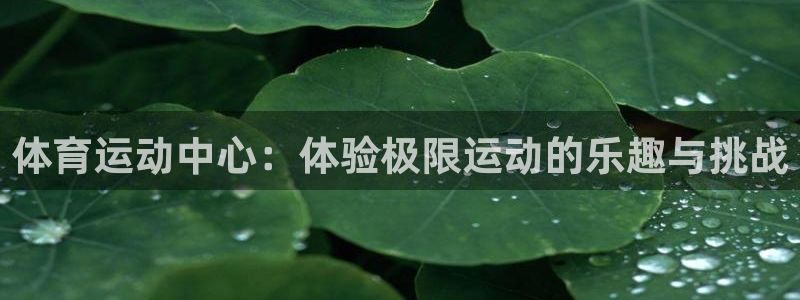 betway西汉姆联