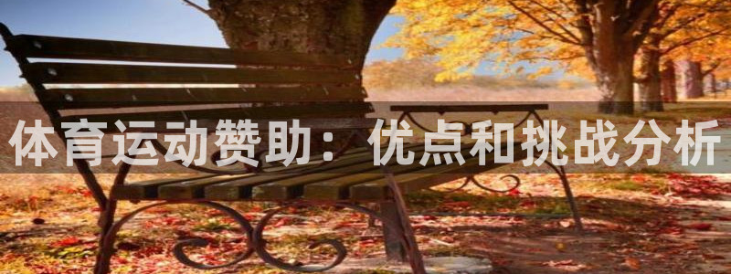 betway西汉姆联