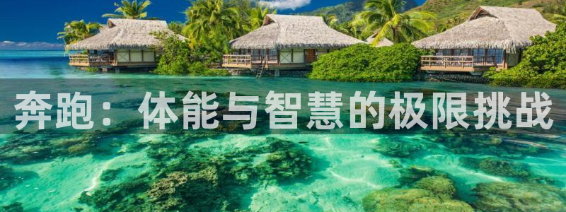 betway西汉姆联：奔跑：体能与智慧的极限挑战