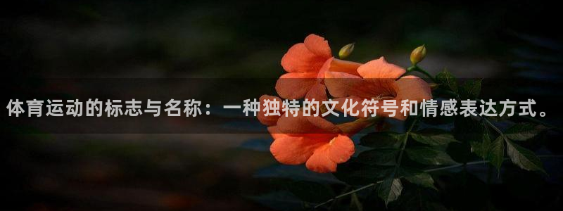betway西汉姆：体育运动的标志与名称：一种独特的文化符号和情感表达方式。