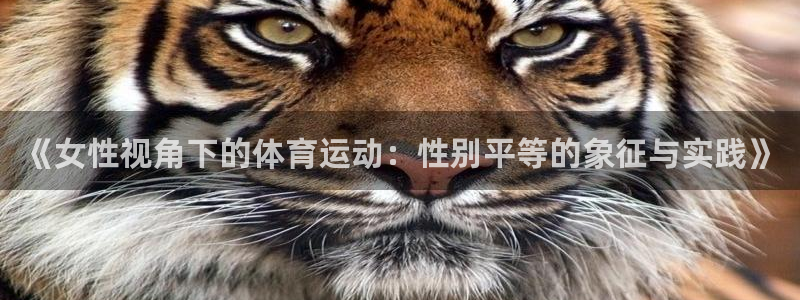 betway西汉姆：《女性视角下的体育运动：性别平等的象征与实践》