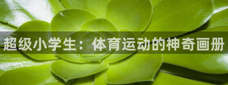 betway西汉姆官网：超级小学生：体育运动的神奇画册