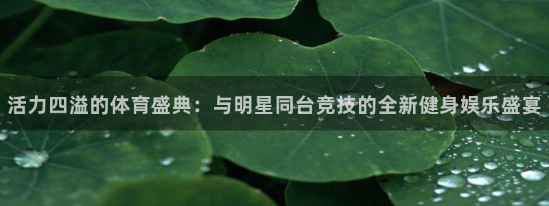 betway西汉姆联：活力四溢的体育盛典：与明星同台竞技的全新健身娱乐盛宴