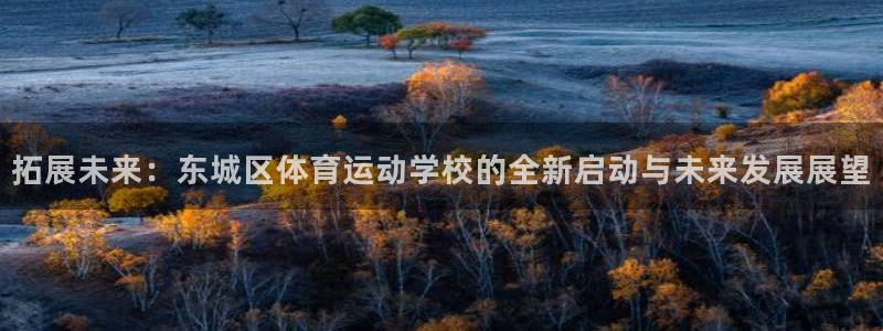 必威betway西汉姆联：拓展未来：东城区体育运动学校的全新启动与未来发展展望