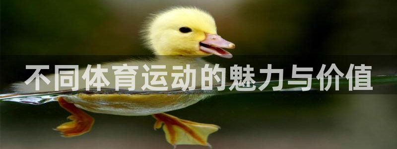 betway西汉姆：不同体育运动的魅力与价值