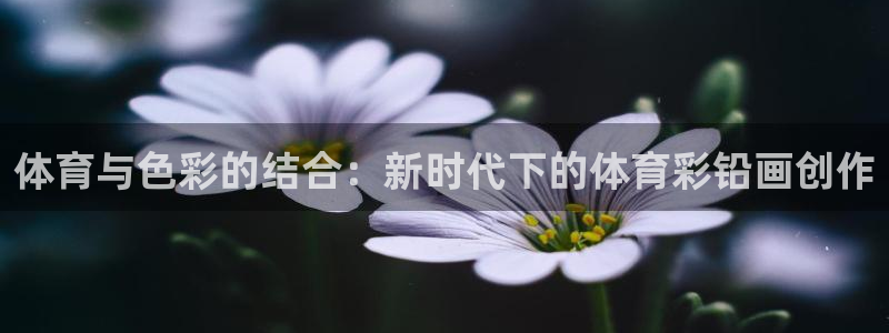 必威betway西汉姆联：体育与色彩的结合：新时代下的体育彩铅画创作