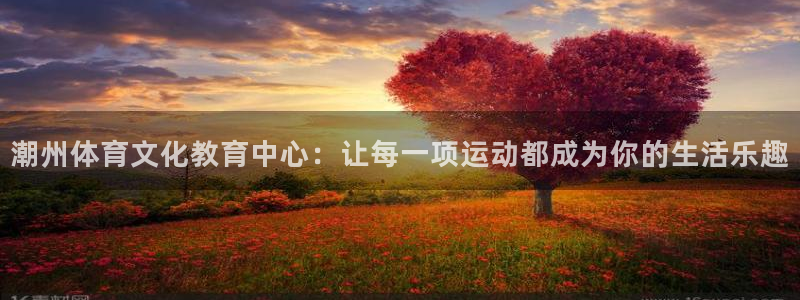 betway西汉姆：潮州体育文化教育中心：让每一项运动都成为你的生活乐趣