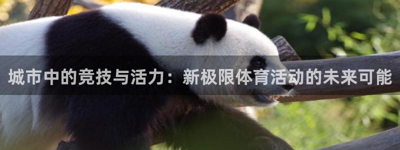 必威betway西汉姆联：城市中的竞技与活力：新极限体育活动的未来可能