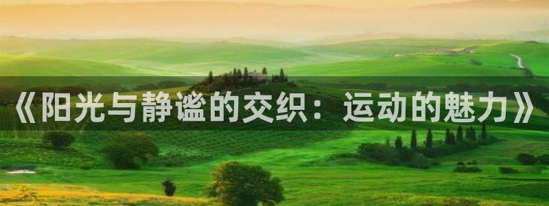 betway西汉姆官网：《阳光与静谧的交织：运动的魅力》