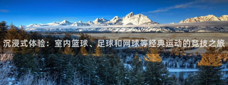 betway西汉姆：沉浸式体验：室内篮球、足球和网球等经典运动的竞技之旅